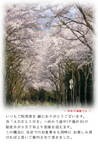桜並木の ご案内
