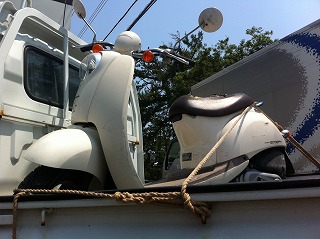 バイク販売 ホンダ スクーピー