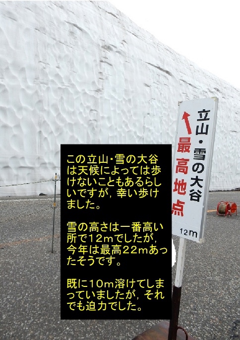 ✿立山・雪の大谷✿ ✿立山・雪の大谷✿