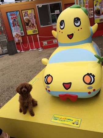 初めまして(^O^☆♪ 初めまして(^O^☆♪