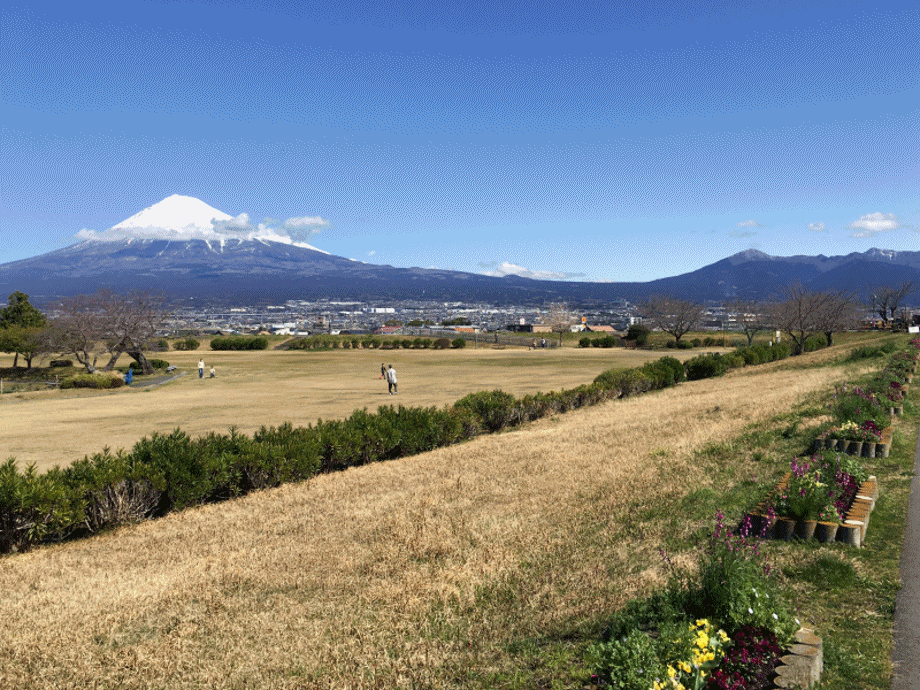 小春日和:かりがね堤で富士山を! 小春日和:かりがね堤で富士山を!