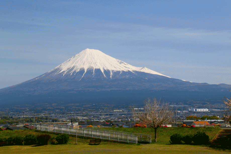 かりがね堤の富士山が絶好調だった かりがね堤の富士山が絶好調だった