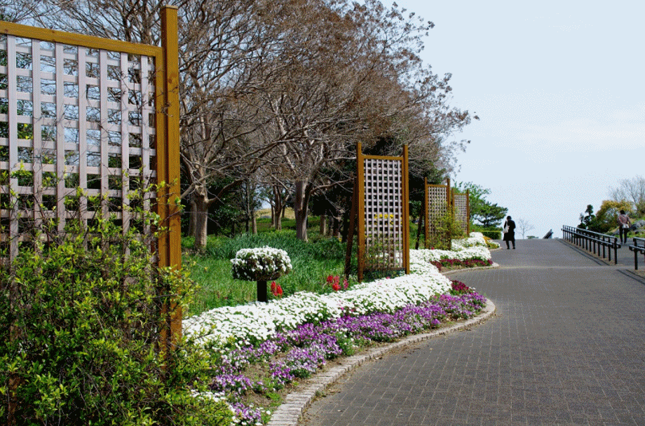 チューリップに会いに県立吉田公園 チューリップに会いに県立吉田公園