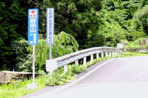 ある日の森林浴:世界遺産登録日! ある日の森林浴:世界遺産登録日!