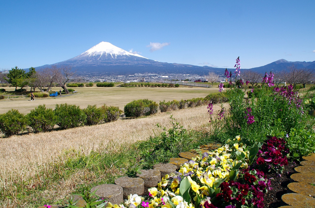小春日和:かりがね堤で富士山を! 小春日和:かりがね堤で富士山を!