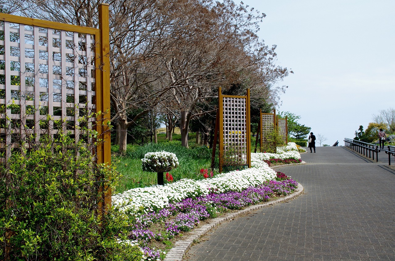 チューリップに会いに県立吉田公園 チューリップに会いに県立吉田公園