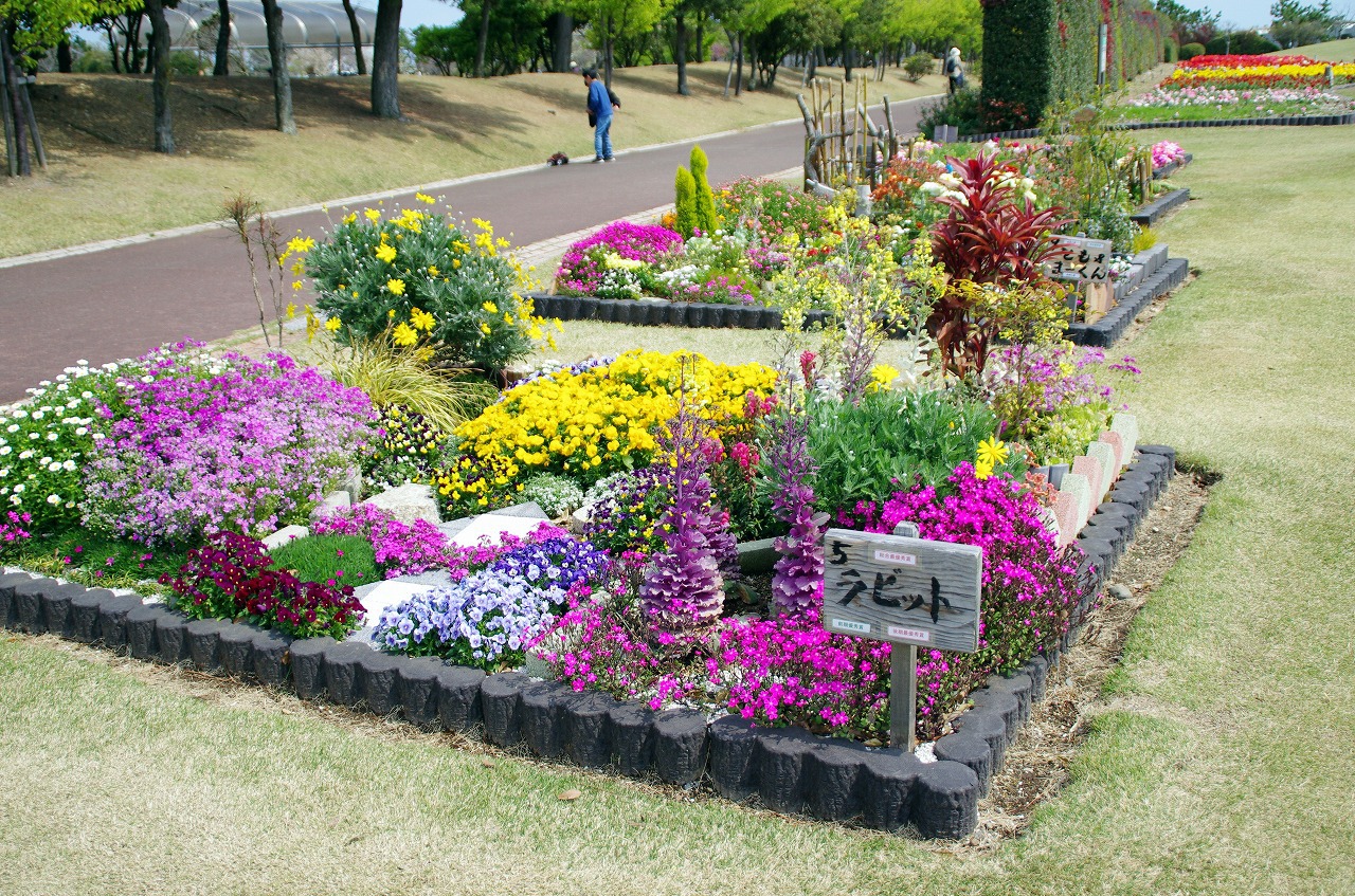 チューリップに会いに県立吉田公園 チューリップに会いに県立吉田公園
