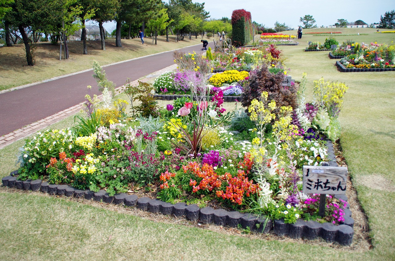 チューリップに会いに県立吉田公園 チューリップに会いに県立吉田公園