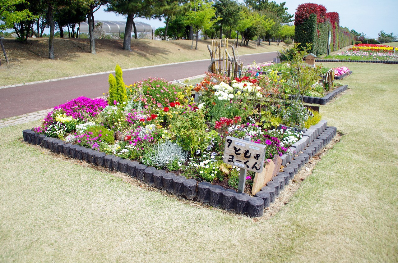 チューリップに会いに県立吉田公園 チューリップに会いに県立吉田公園