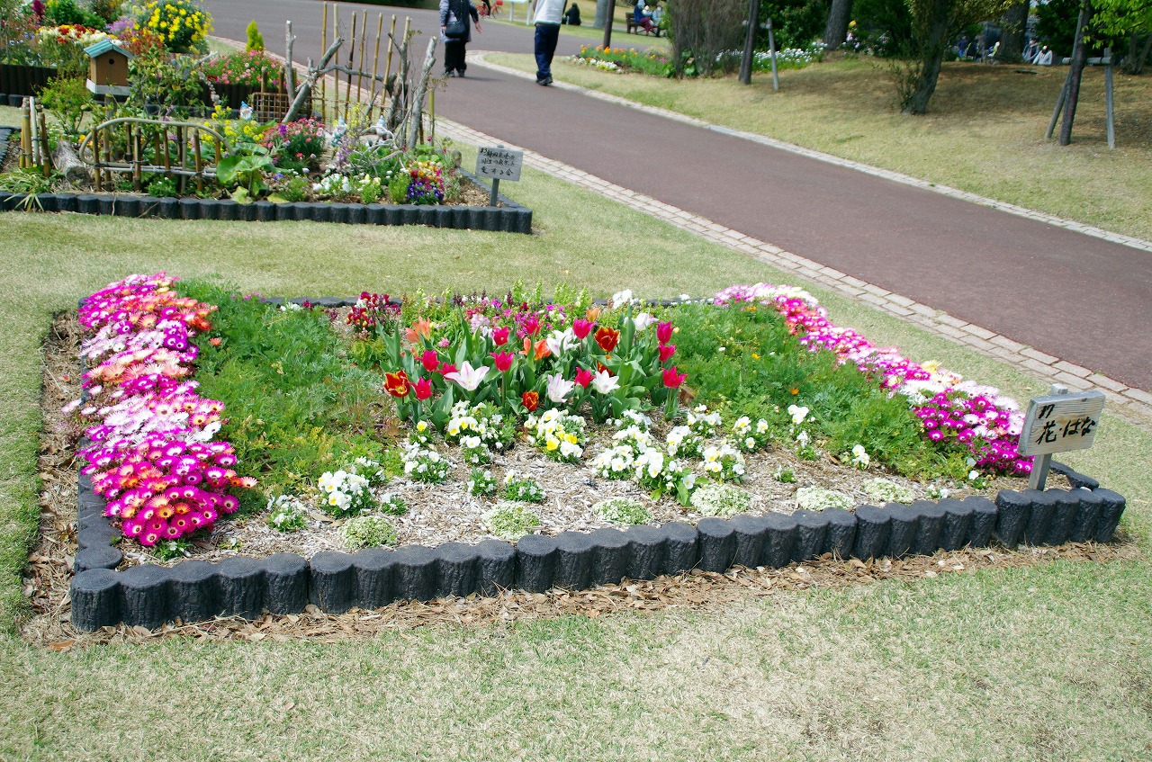チューリップに会いに県立吉田公園 チューリップに会いに県立吉田公園
