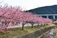 かりがね堤と南松野へ駆込! かりがね堤と南松野へ駆込!