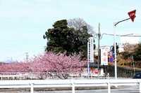 かりがね堤と南松野へ駆込! かりがね堤と南松野へ駆込!