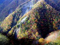 紅葉散策は何時ものルートにて?