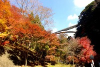 紅葉..ご近所で拾い撮りなど! 紅葉..ご近所で拾い撮りなど!