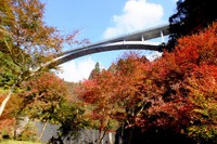紅葉..ご近所で拾い撮りなど! 紅葉..ご近所で拾い撮りなど!
