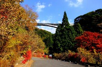 紅葉..ご近所で拾い撮りなど! 紅葉..ご近所で拾い撮りなど!