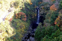 紅葉..ご近所で拾い撮りなど! 紅葉..ご近所で拾い撮りなど!