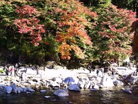 紅葉散策推奨版:4(香嵐渓編) 紅葉散策推奨版:4(香嵐渓編)