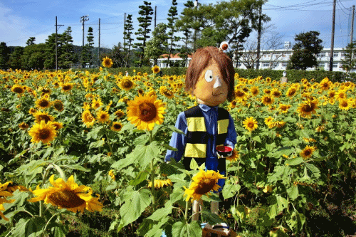 夏の花と云えばこなたが一番! 夏の花と云えばこなたが一番!
