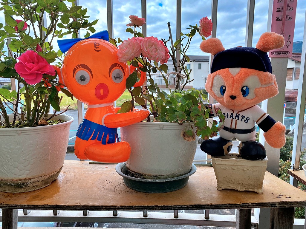この方覚えておいでですか~? この方覚えておいでですか~?