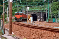 トンネル巡りで思わぬ出逢い! トンネル巡りで思わぬ出逢い!
