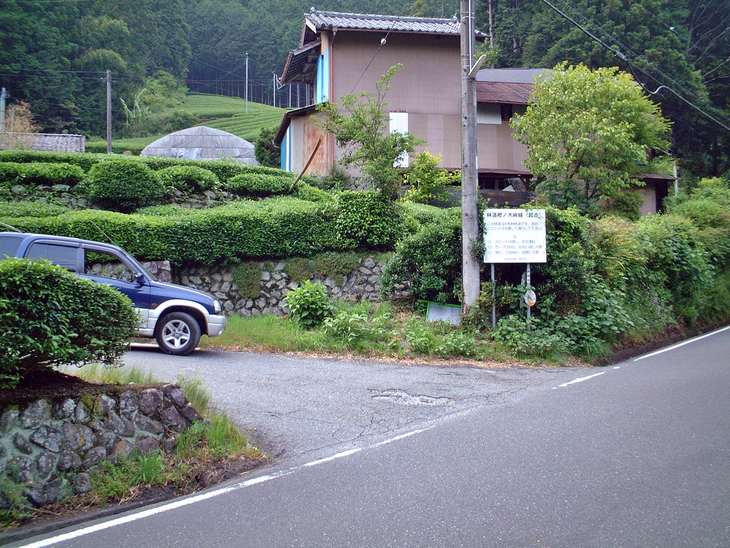 林道でカモシカに会ったあの日 林道でカモシカに会ったあの日