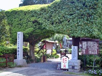 うわさの高天神城をエア散策? うわさの高天神城をエア散策?