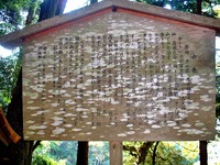 うわさの高天神城をエア散策? うわさの高天神城をエア散策?