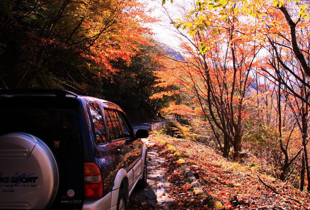 とっておきの紅葉Ⅱ畑薙ダム! とっておきの紅葉Ⅱ畑薙ダム!