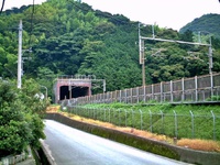 トンネル巡りで思わぬ出逢い! トンネル巡りで思わぬ出逢い!