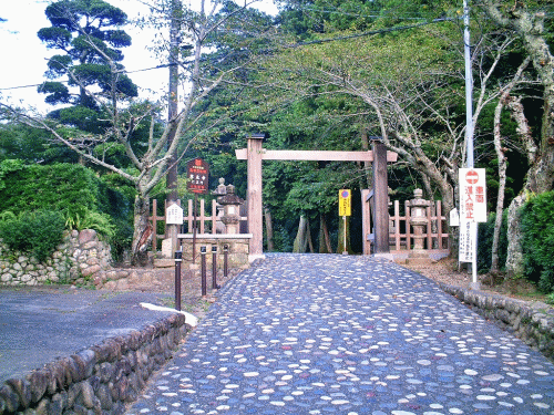 ブルーベリーと法多山参拝! ブルーベリーと法多山参拝!