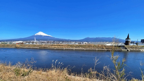 さりげない富士山と化粧桜! さりげない富士山と化粧桜!