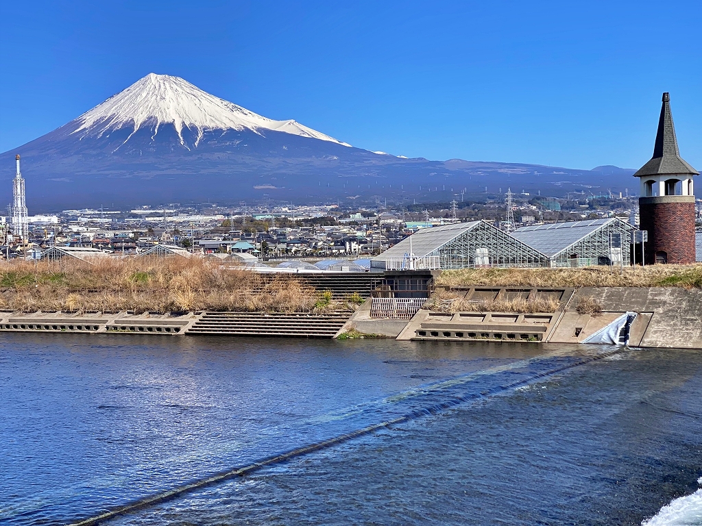 さりげない富士山と化粧桜! さりげない富士山と化粧桜!