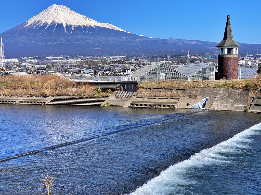 さりげない富士山と化粧桜! さりげない富士山と化粧桜!