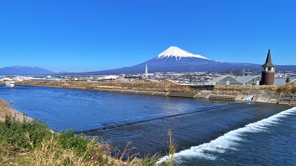 さりげない富士山と化粧桜! さりげない富士山と化粧桜!