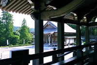 ブルーベリーと法多山参拝! ブルーベリーと法多山参拝!