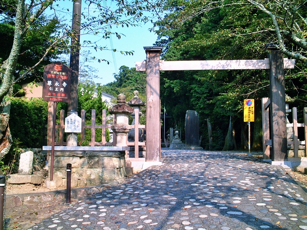 ブルーベリーと法多山参拝! ブルーベリーと法多山参拝!