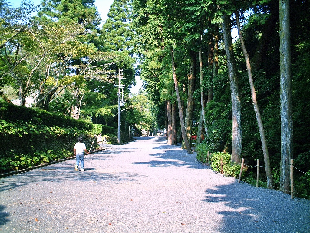 ブルーベリーと法多山参拝! ブルーベリーと法多山参拝!