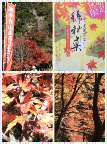 愛知県新城市鳳来寺山へ行ってきました