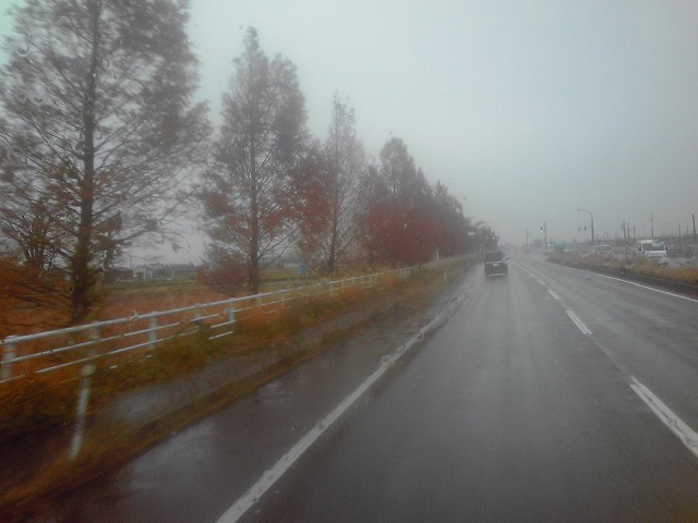 紅葉 新潟県 降雪なし