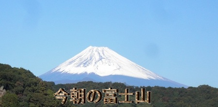 今朝の富士山