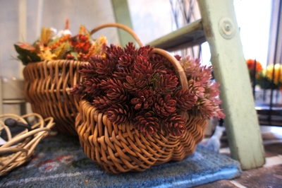秋の花