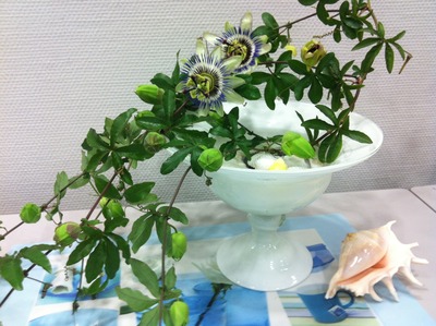 花展へおでかけ