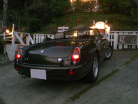 MGRV8