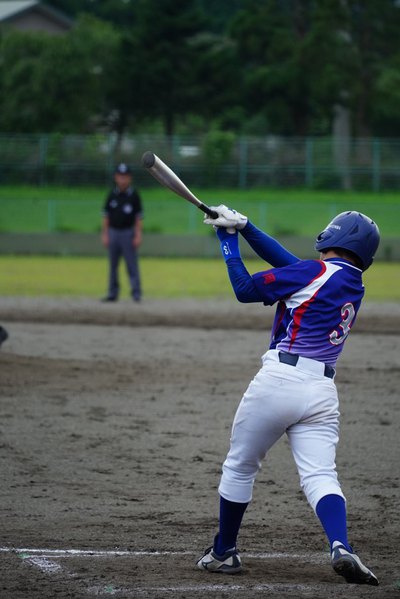 野球も勉強もやり方次第 野球も勉強もやり方次第
