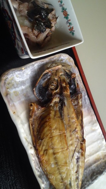 ランチ開始(o^∀^o)