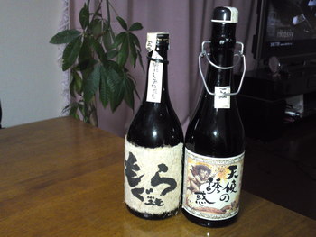 今日はこれo(`▽´)o