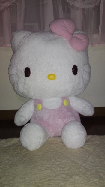 この子がやってきた~☆