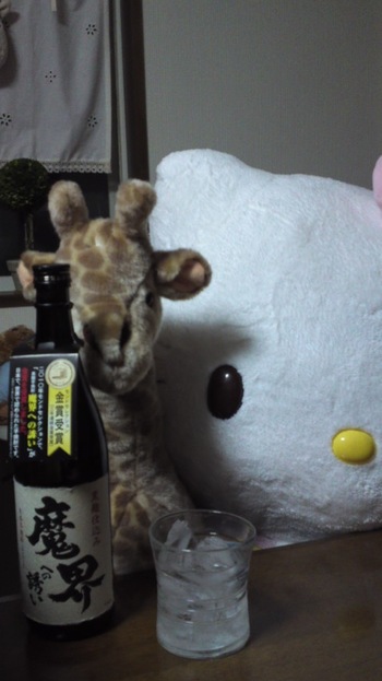 今日はこれ(^o^)/