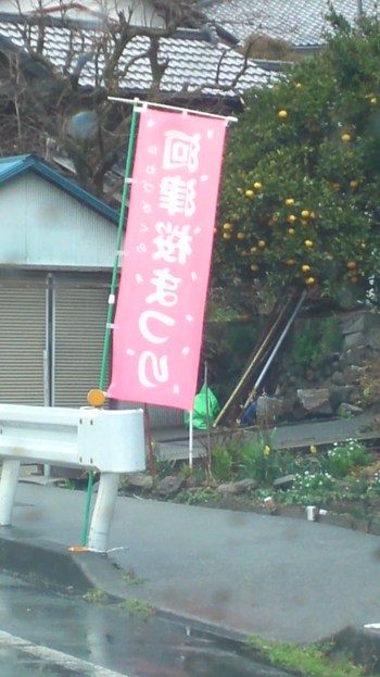 お祭りだあ